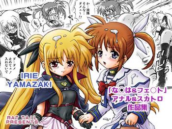 IRIE YAMAZAKI 「な○は&フェ○ト」アナル&スカトロ作品集