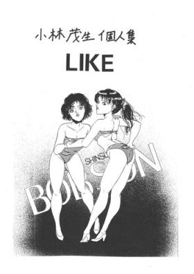 Kobayashi Shigeo Kojinshuu LIKE