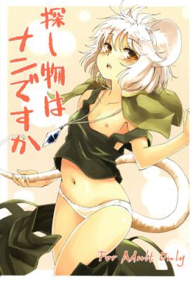 Sagashimono wa Nan Desu ka | What Is It That You Are Looking For