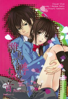 Hinadori no Fuka Suru Otoenglish ragdoll
