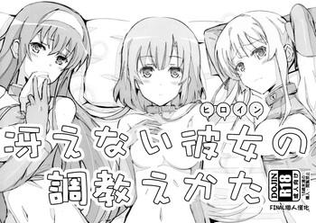 Saenai Heroine no Choukyou Ekata