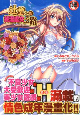 Tsujidou-san no Virgin Road Adult Edition | 辻堂小姐的純潔處女之路