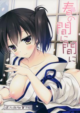 Haru no Mani Mani