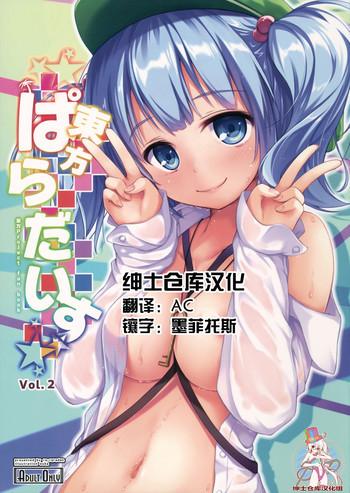 Touhou Paradise Vol. 2