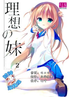 Risou no Imouto 2