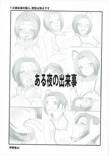 Aru Yoru no Dekigoto