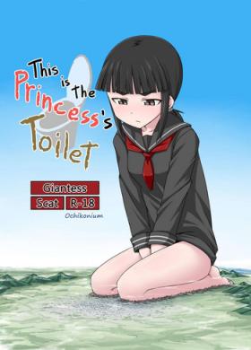 Koko wa Hime-sama no Toile desu
