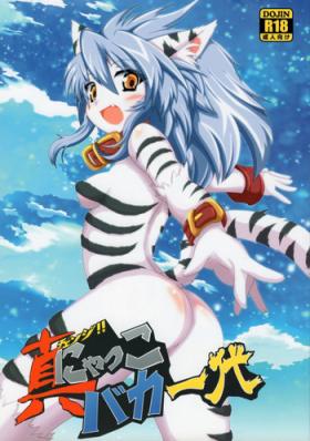 Shin!! Nyakko Baka Ichidai