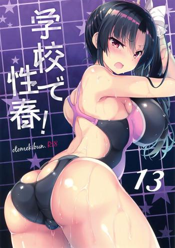 Gakkou de Seishun! 13