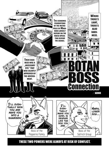 Botan Boss Connection