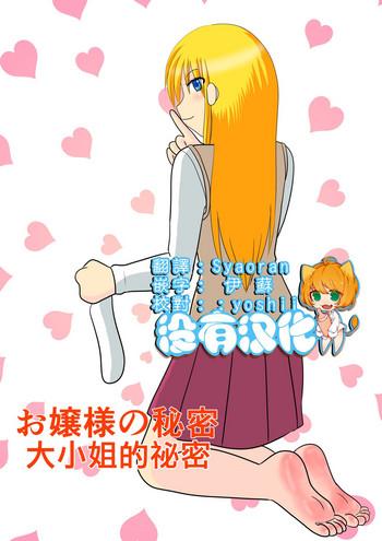 Ojou-sama no Himitsu | 大小姐的秘密