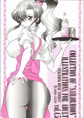 COLLECTION OFILLUSTRATIONS FOR ADULT Vol.4.5