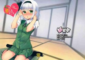 Youmu Days