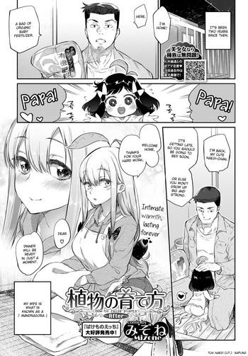 ﻿Shokubutsu no Sodatekata - How to raise plants