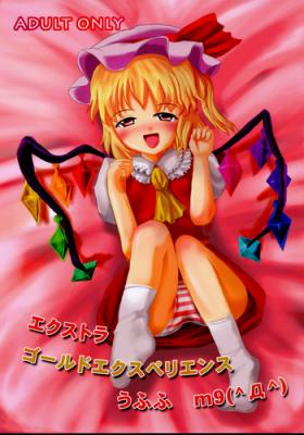 Extra Gold Experience Ufufu m9