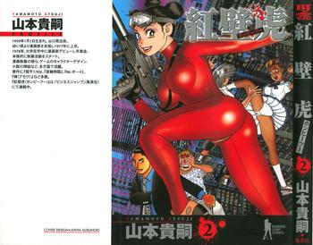 HonFu Vol.2