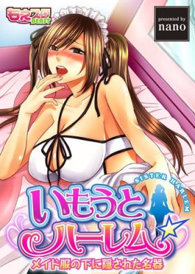 Imouto Harem - Maid Fuku no Shita ni Kakusareta Meiki