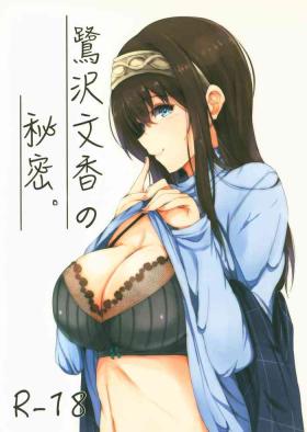 Sagisawa Fumika no Himitsu.