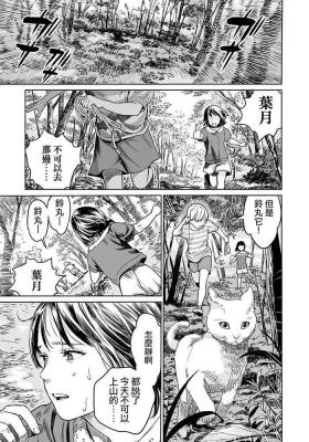 Oogetsuhime no Yama 丨 大宜都比賣之山