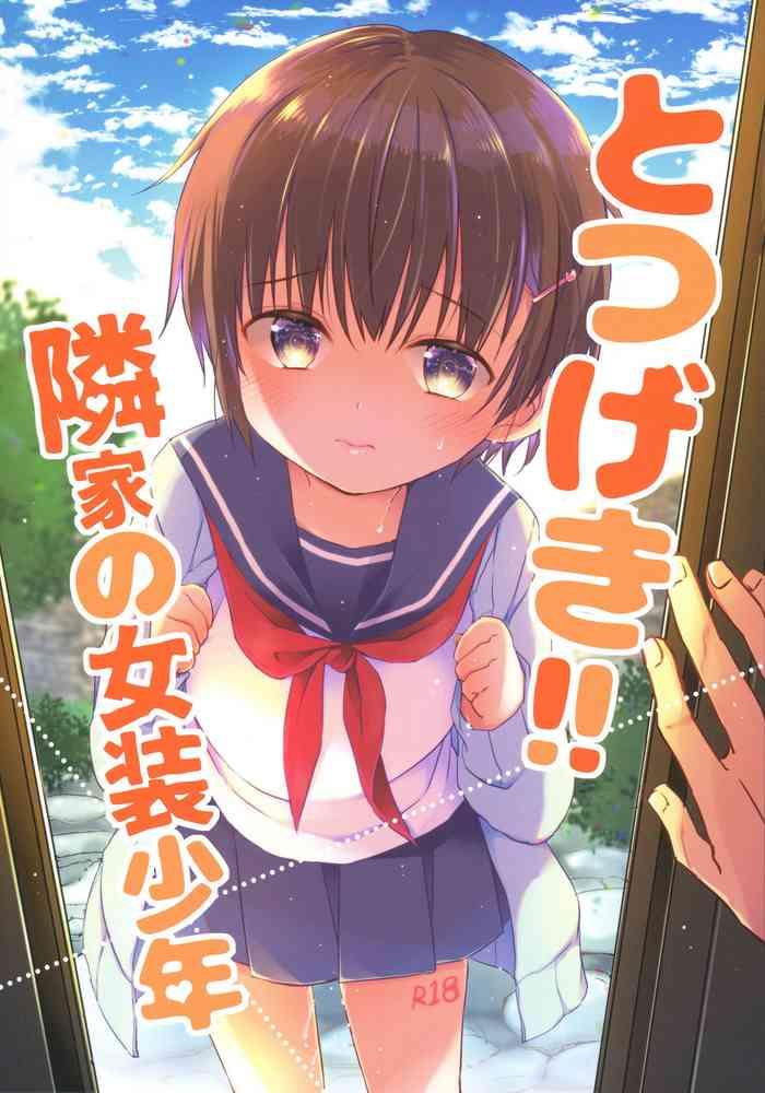 Totsugeki! Rinka no Josou Shounen