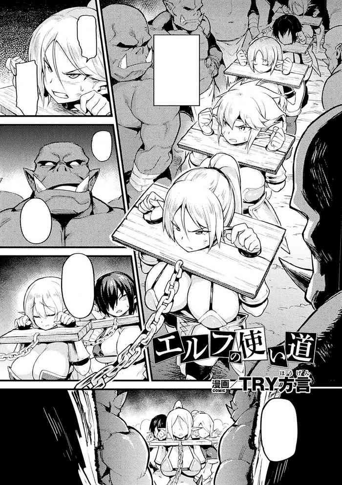 Elf no Tsukaimichi