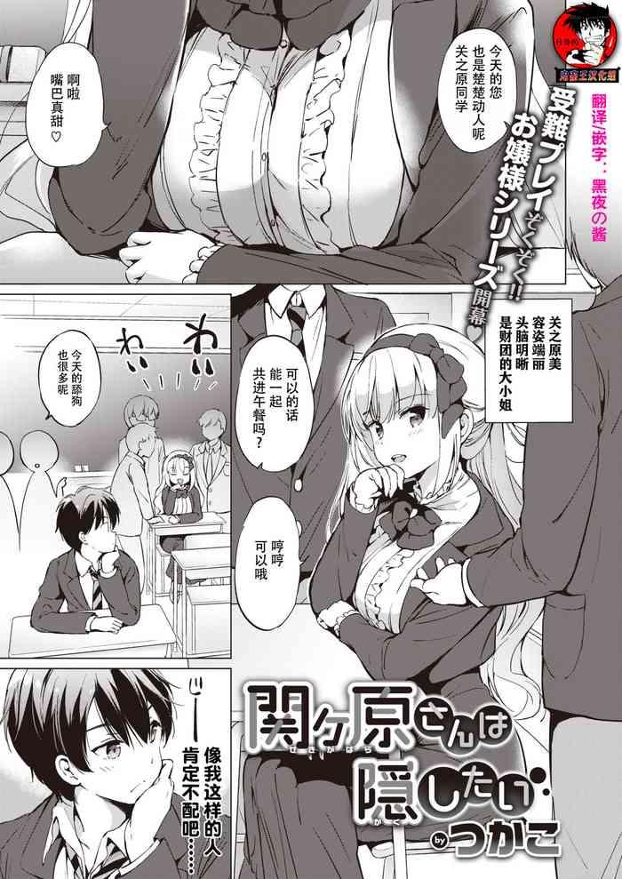 sekigaharasann shiri3