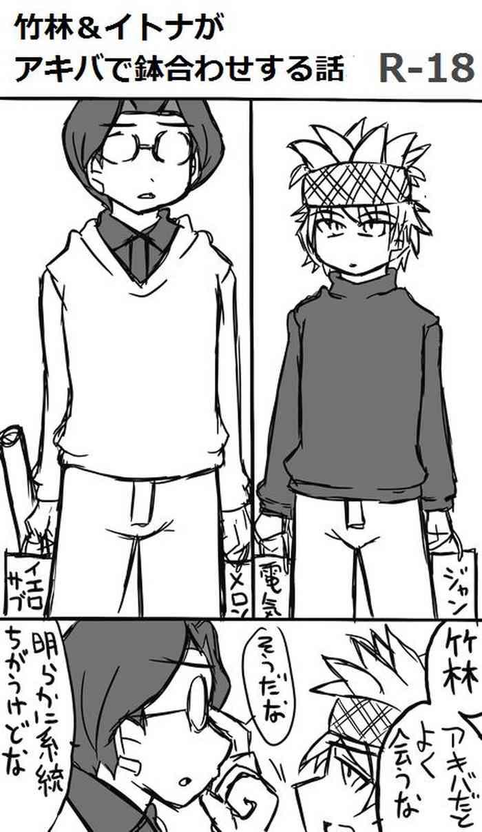 Chikurin & Itona Ga Akiba De Hachiawase Suru Hanashi
