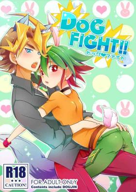 DOG FIGHT !!