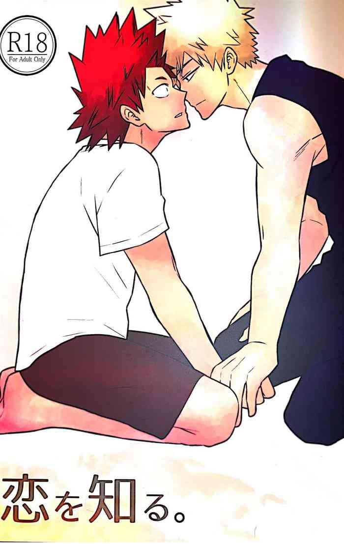 Koi o Shiru.