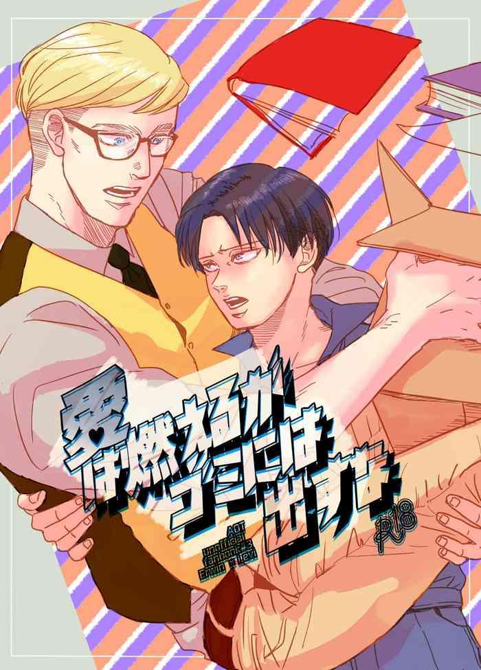 Ai wa Moeru ga Gomi niwa Dasuna