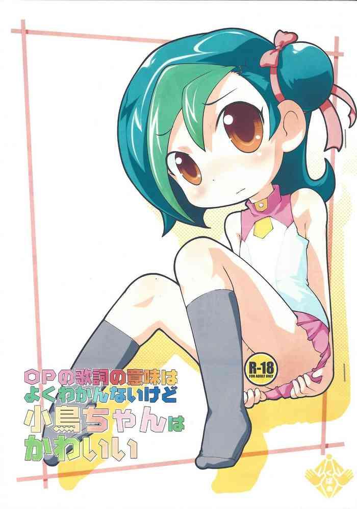 OP no kashi no imi wa yoku wakan'naikedo Kotori-chan wa kawaī