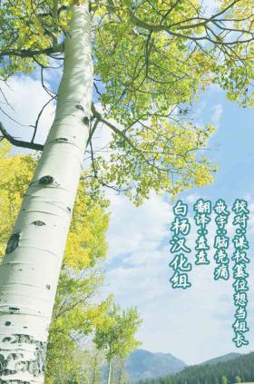 3gumi T-toku Sensei!