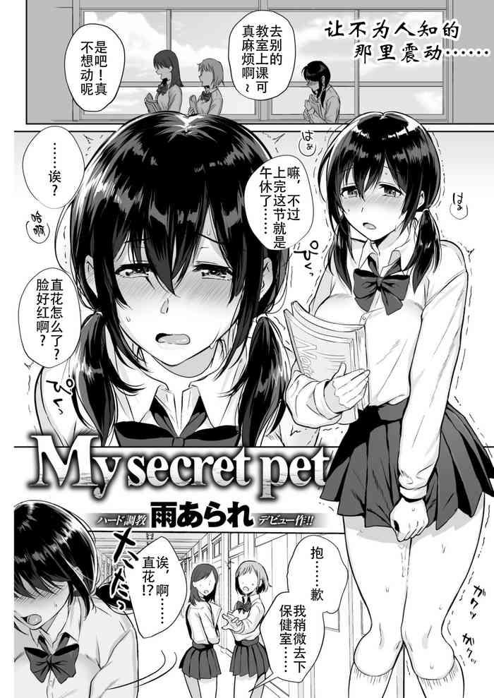 My Secret Pet