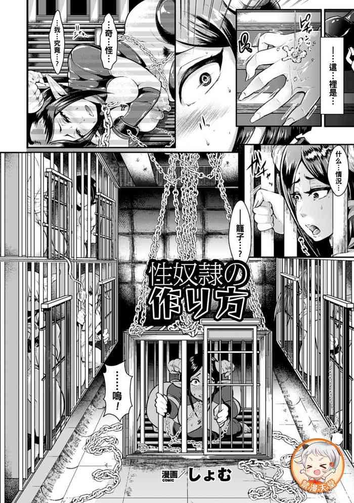 Seidorei no Tsukurikata