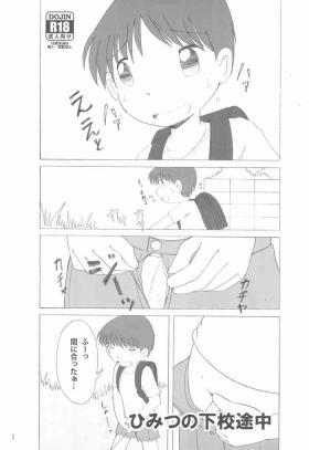 Himitsu no Gekou chuu