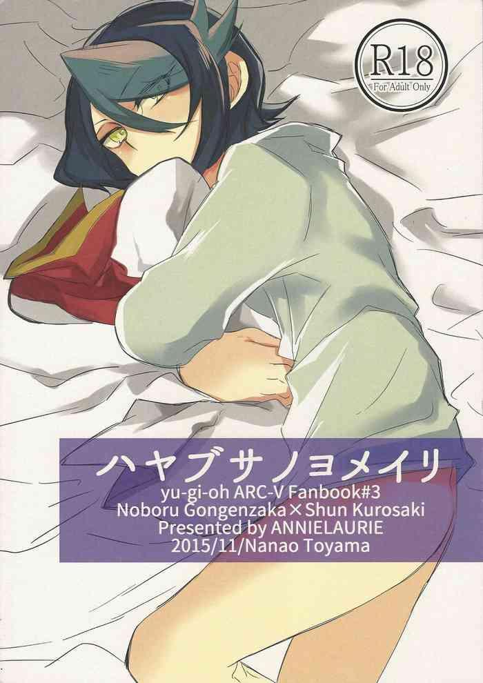 Hayabusanoyomeiri