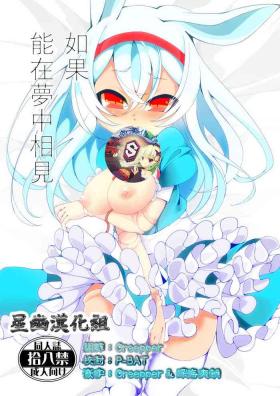 Yume de Aeta Nara