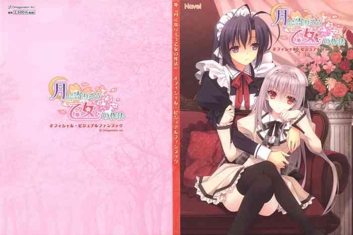 月に寄りそう乙女の作法 オフィシャル・ビジュアルファンブック