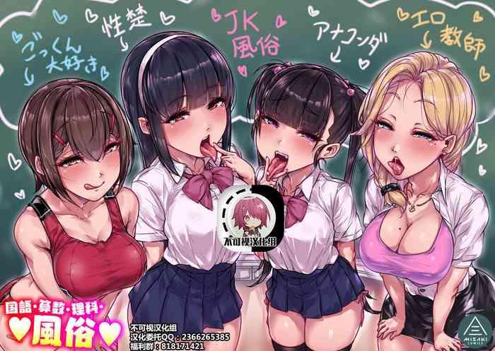 Kokugo Sansuu Rika Huuzoku【不可视汉化】