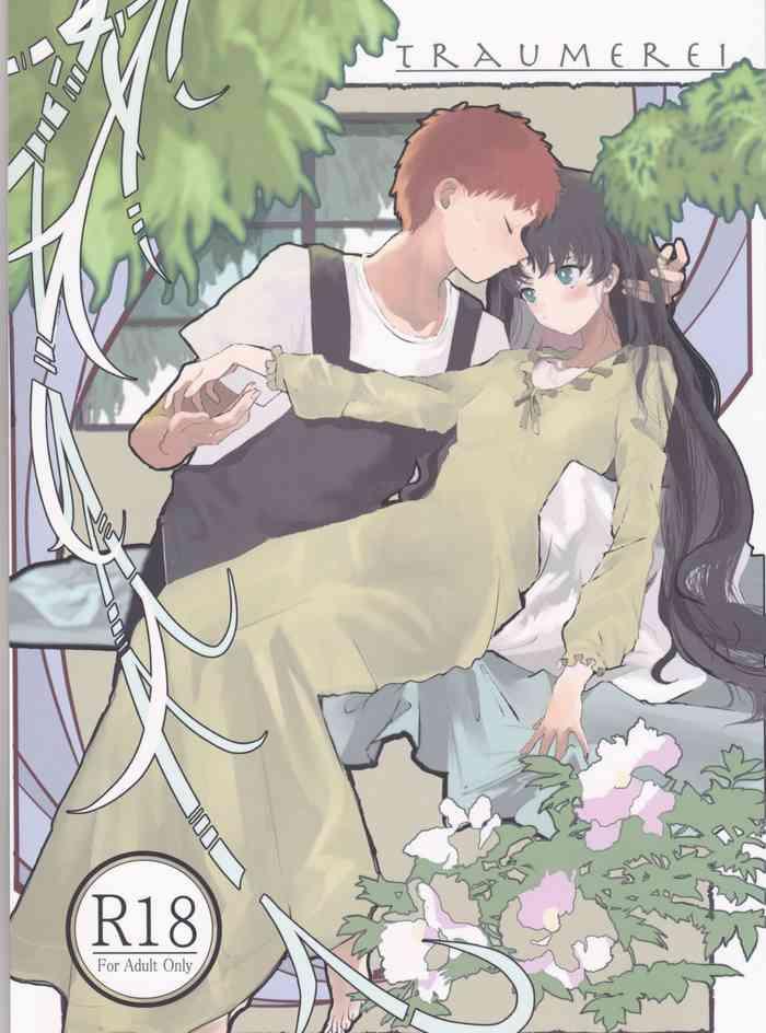 TRAUMEREI(Fate/stay night]