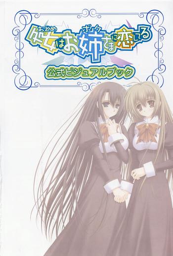 Otome wa boku ni koi shiteru Visual Fanbook