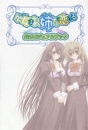 Otome wa boku ni koi shiteru Visual Fanbook