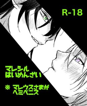 Mareshiru Hai Men Zai