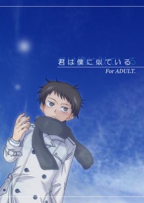 Kimi wa Boku ni Niteiru