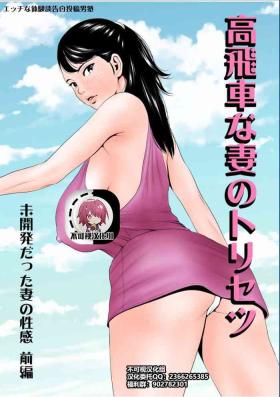 Takabisha na Tsuma no Torisetsu【不可视汉化】