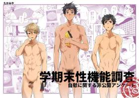 Gakkimatsu Seikinou Chousa