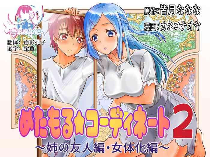 Metamor Coordinate 2