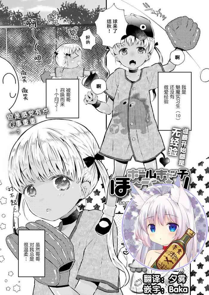 Ball Catch Hokiu-chan!