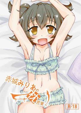 Akagi Mirai no Makura Eigyou