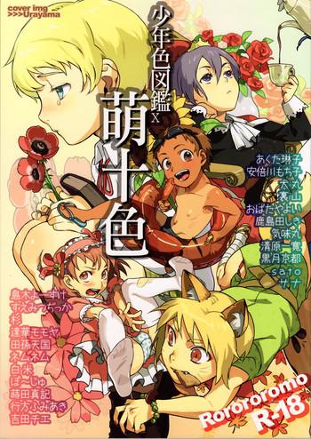 Shounen Iro Zukan 10